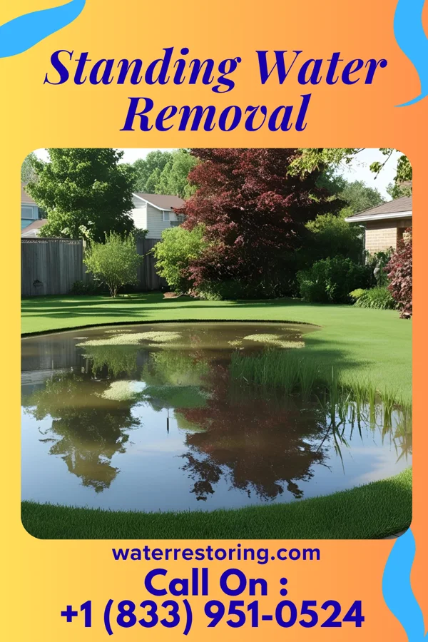 Standing Water Removal in Lueders, TX